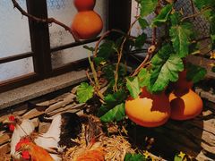 -洞庭土菜馆(天河北总店)