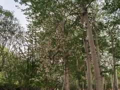 -元大都城垣遗址公园