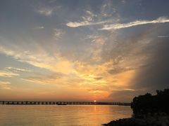 -宝安西湾红树林湿地公园