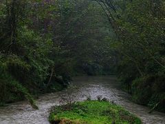 -桤木河湿地公园