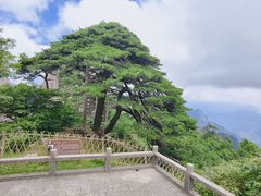 -黄山风景区