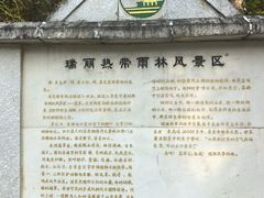 -莫里热带雨林景区