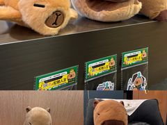 -金色印象·HiFi影音·按摩足疗(南坪桃源店)