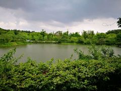 -大屏嶂森林公园