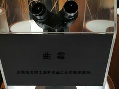 -上海长江河口科技馆