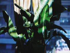 -阿卡贝拉音乐汇(印象城店)