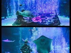 -沈阳海洋探索中心