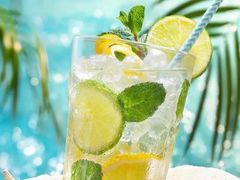 -有喵·猫咖·狗咖·40+猫狗有小奶狗(岗厦店)