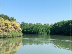-大湾区中央湿地公园