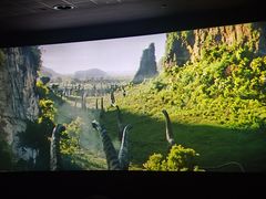 -AMG海上明珠影城(上海环球港RealDCinema店)
