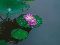 -沐仙湖湿地公园