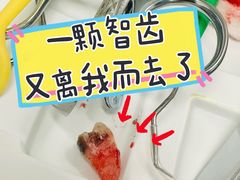 -上海市徐汇区口腔医院