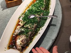 -望乡楼上海菜(日月光店)