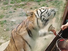 -栾川竹海野生动物园