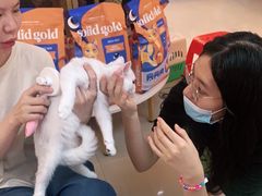 -lincat·猫舍(广州店)