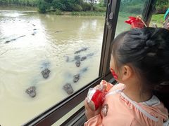 -中国扬子鳄村