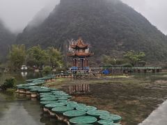 -靖西鹅泉风景区
