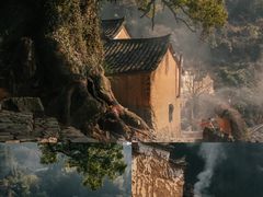 -杨家堂村