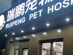 -瑞鹏宠物医院·骨外科·心肾科·肿瘤科(九亭店)