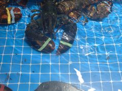 -醉壹号海鲜大排档(厦门美食地标店)