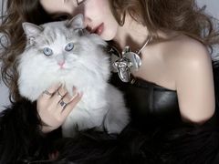 -纳吉亚猫专科动物医院博雅分院