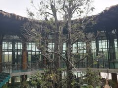 -The Ring Pavilion 魔幻森林