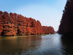 -上海海湾国家森林公园