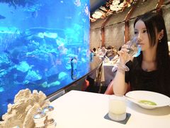 -迪拜帆船酒店海底餐厅