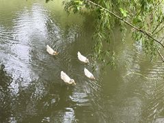 -J Create城市露营咖啡·简餐·宠物(上海动物园店)