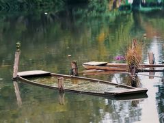 -深圳仙湖植物园