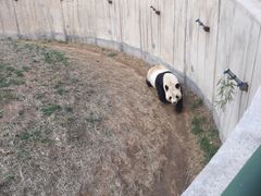 -石家庄市动物园