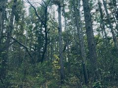 -长春净月潭风景名胜区