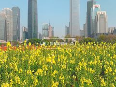 -海心沙亚运公园