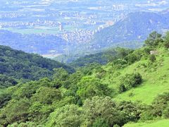 -大姆山草场