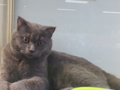 -乐宠宠物店(世纪金源店)