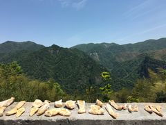 -江南天池