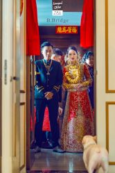点击看大图 -B.Bridge Couture婚纱礼服(福田店)