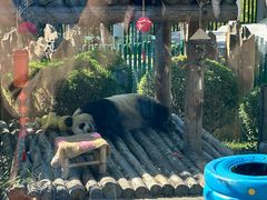 -大连森林动物园