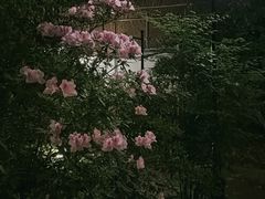 -上海瑞金洲际酒店