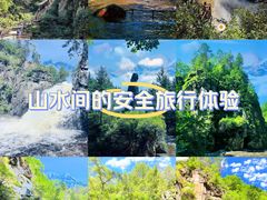 -茅兰沟国家森林公园