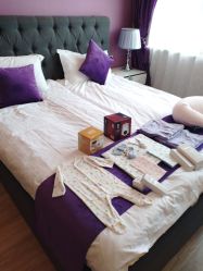 -海豚湾高端月子会所(黄浦店)