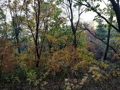 -帽儿山国家森林公园