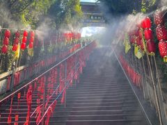 -姑婆山旅游区