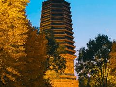 -玲珑塔公园