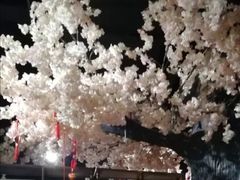 -沐槿宫韩式汗蒸水汇(马群店)