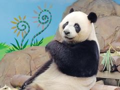 -广州长隆野生动物世界