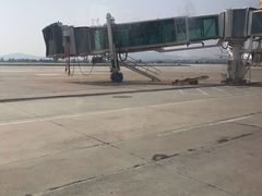 -威海大水泊国际机场