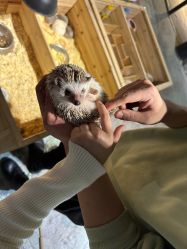 -酷嗒动物文化乐园(cutezoo西溪乐天城店)