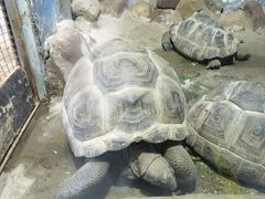 -太原动物园