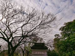 -上海佘山国家森林公园天马山园